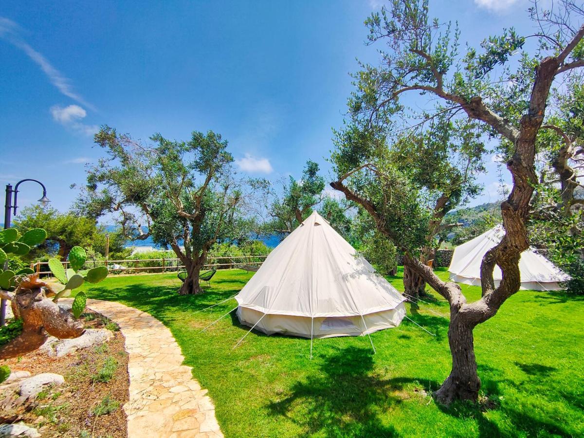 La Nuova Tenda Di Casa Camilla Journey